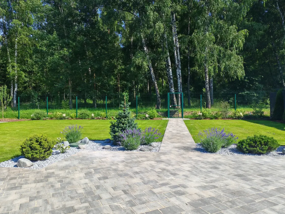 Ось дорожки к лесу